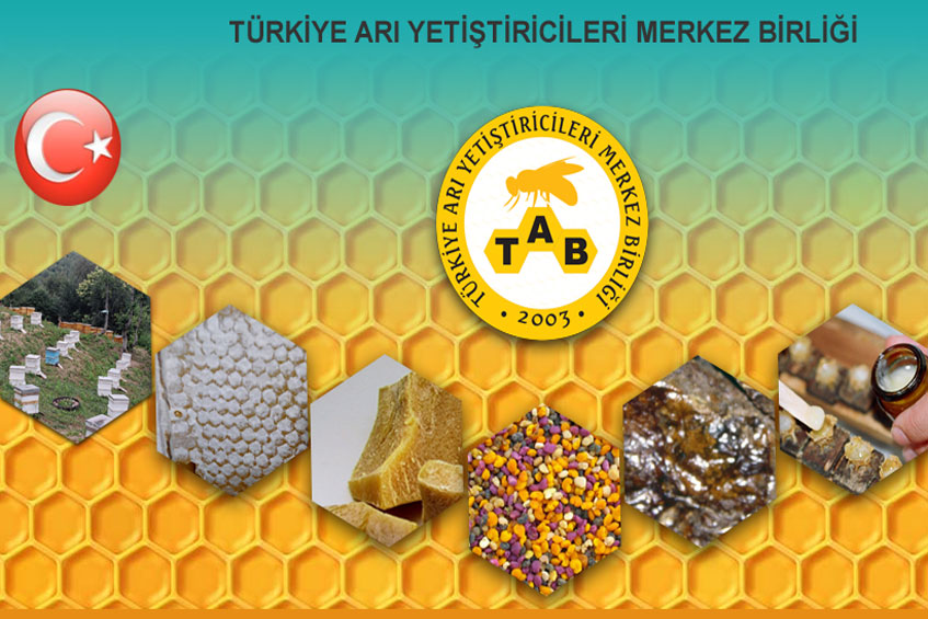 Türkiye Arı Yetiştiricileri Merkezi Web Sitesi Geliştirmesine Başlandı